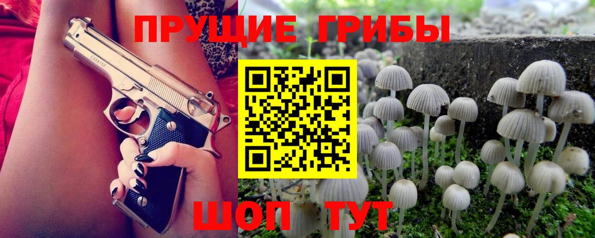Галлюциногенные грибы ЛСД Губкинский